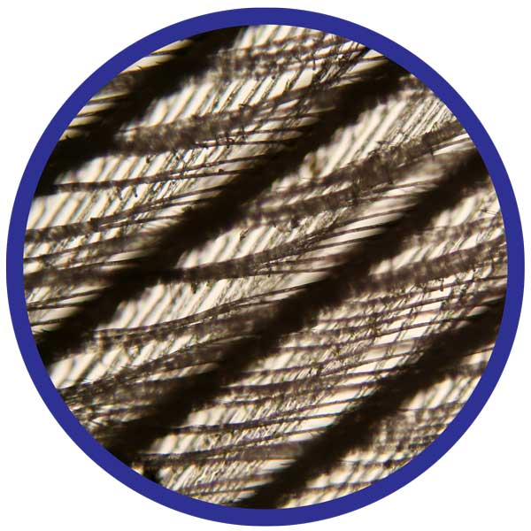 Feather-specimen-web.jpg