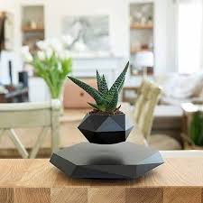 Pot de fleur en lévitation