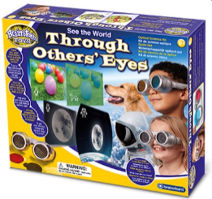 See the World Through Others’ Eyes