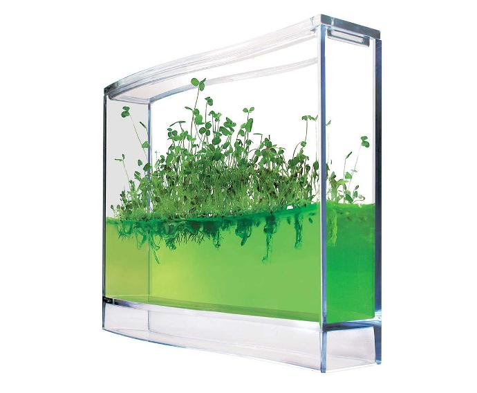 Plantarium Super semis dans du gel pour plantes