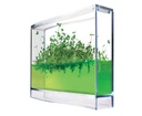 Plantarium Super semis dans du gel pour plantes